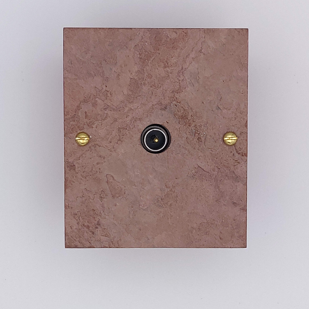 11pr2-prise TV-pierre-rose-1