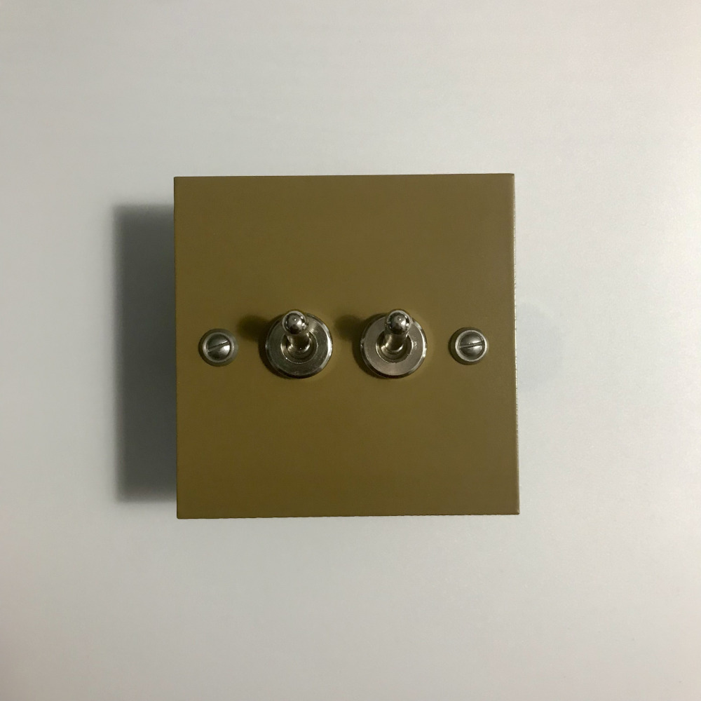 2bv4-interrupteur à levier-brun vert-1